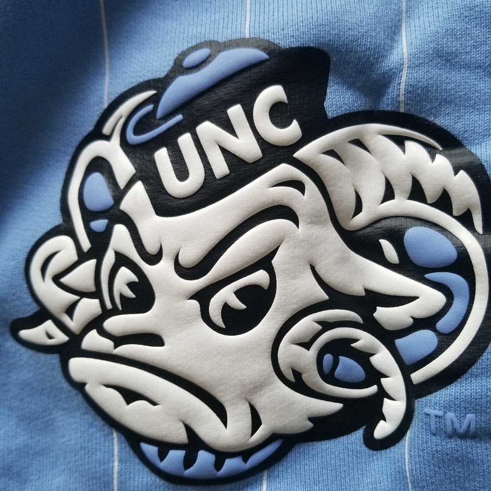 Nike Air Jordan UNC Chapel Hill Shorts - Picture 10 of 16